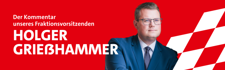 Holger Kommentar Newsletter